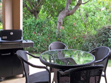 Patio with table set & BBQ grill