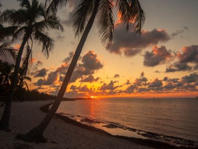 The Florida Keys Condo 905608