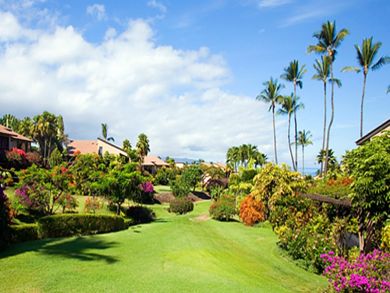 Tropical view