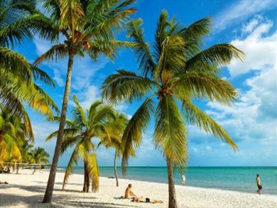 The Florida Keys Condo 905620
