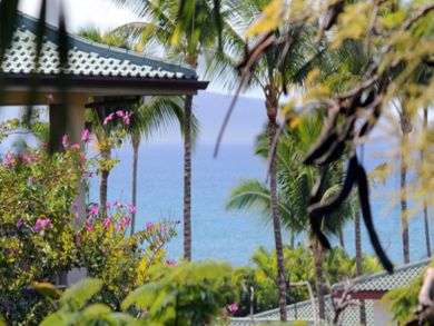 Ocean view