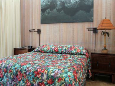 Sleeping area with king bed