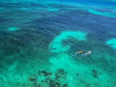 The Florida Keys Condo 905630