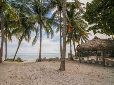 The Florida Keys Home 905646