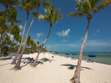 Key West Estate Perfect for Groups! 5 Separate Rentals