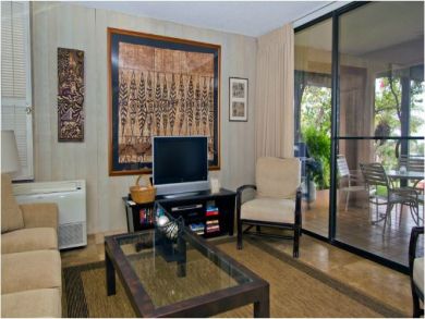 Flat Screen TV in Living Room
