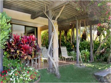 Tropical Patio