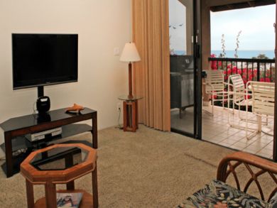 Living room with flat screen TV & DVD player
