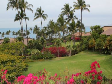 Garden & ocean views