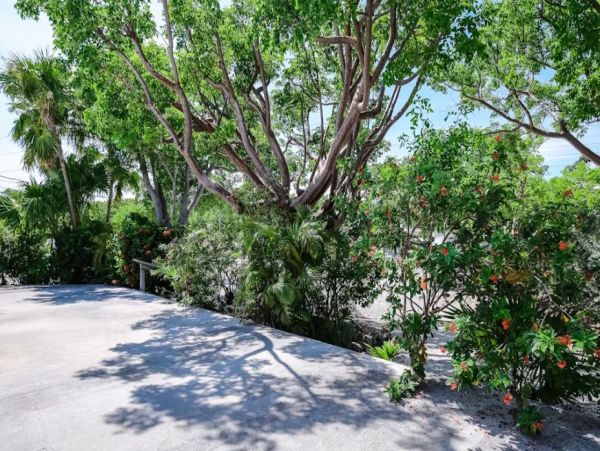 Long Key Four Bedroom Oceanfront Duplex