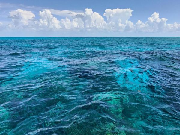 Charming Vacation Rental in Key West