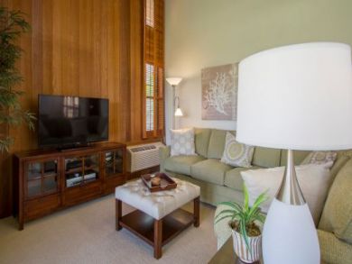 Living Room with Flat Screen TV