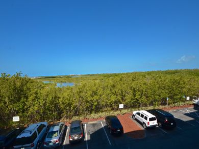 The Florida Keys Condo 905744