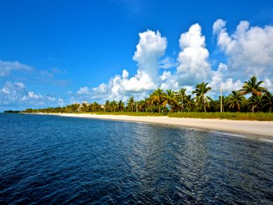 The Florida Keys Condo 905752
