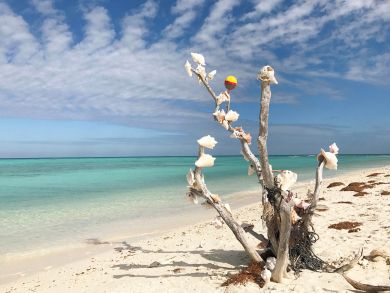 The Florida Keys Condo 905754