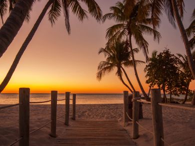 The Florida Keys Condo 905755
