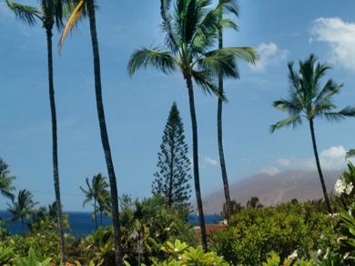 View from balcony