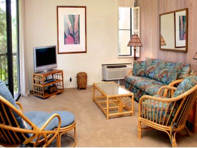 Living room with TV