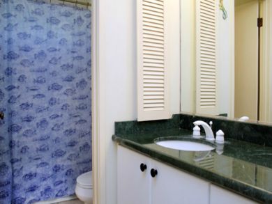 Second bathroom with shower