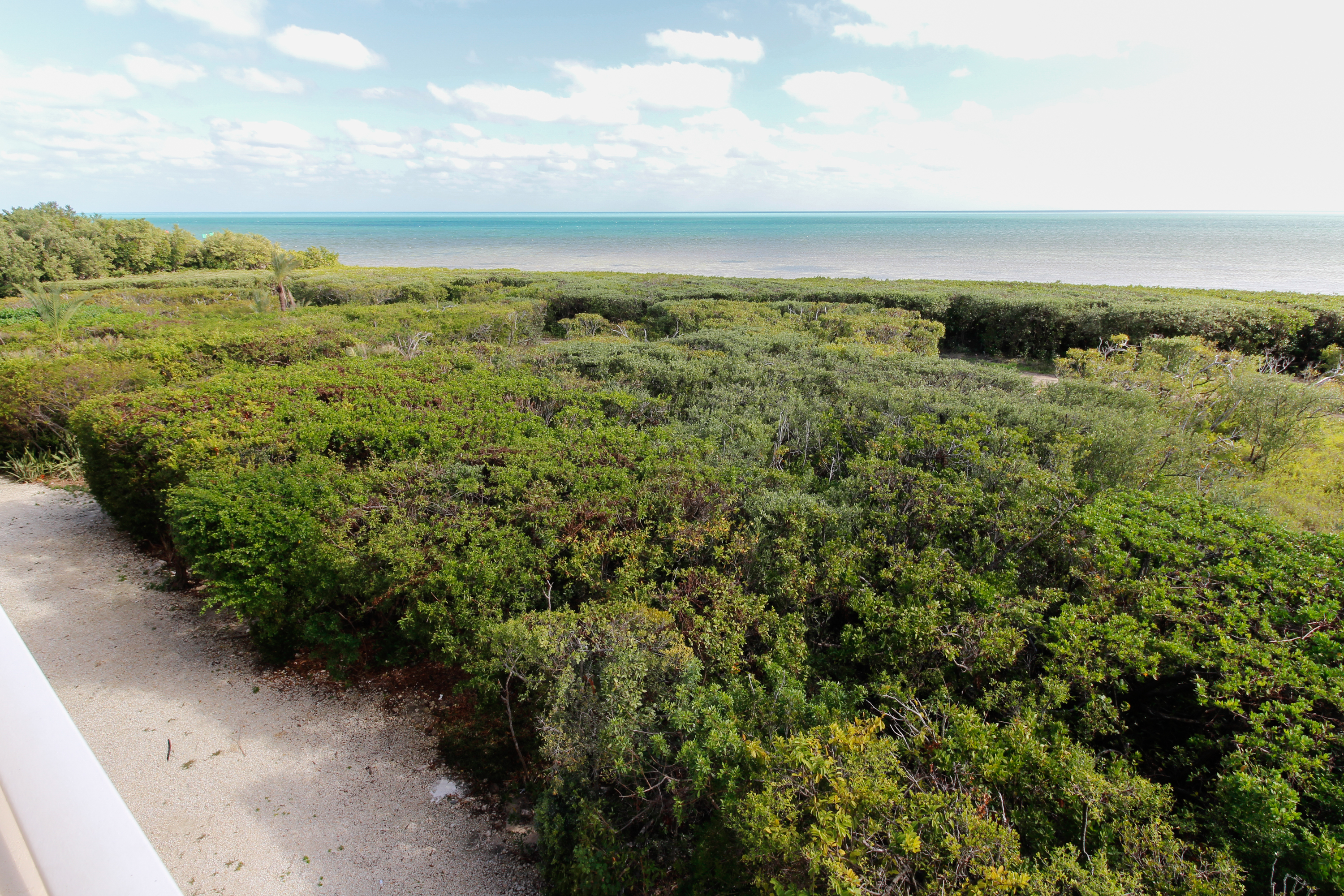 The Florida Keys Condo 905761 The Florida Keys Condo 905761