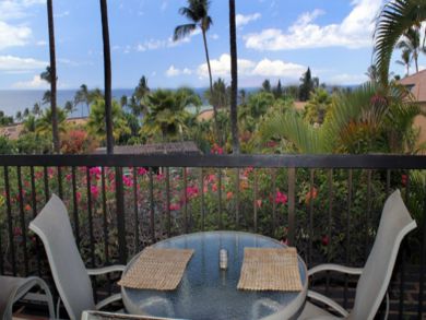 Balcony with tropical vegetation view