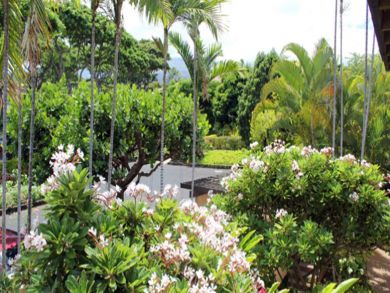 Tropical walkway from parking lot