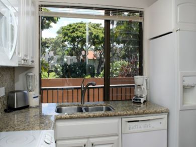 Kitchen with tropical view