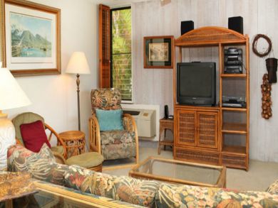 TV & DVD player in living room
