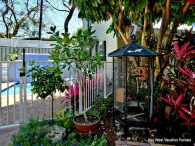 The Florida Keys Condo 905839 The Florida Keys Condo 905839