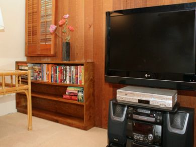 Enterntainment center & books selection