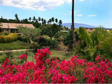 Wailea vacation condo