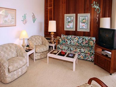 Living room with TV