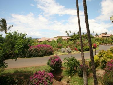 View from patio