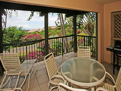 Screened patio with outdoor furniture & BBQ grill