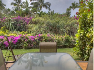 View from porch