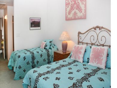 Guest bedroom with queen & twin beds