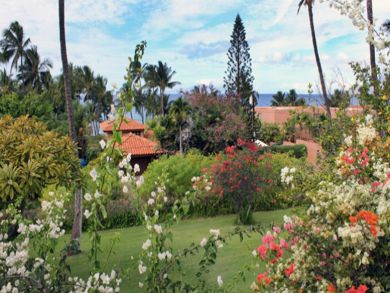 Garden view