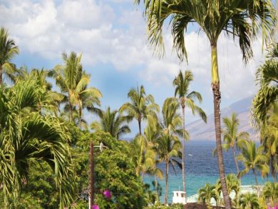 Ocean View & Walk to Beach Rental Condo in Wailea