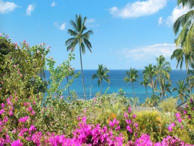 Ocean View & Walk to Beach Rental Condo in Wailea