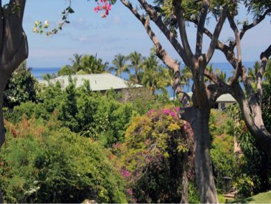 Garden & ocean view