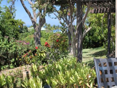 View from porch