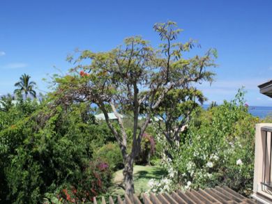 View from guest bedroom