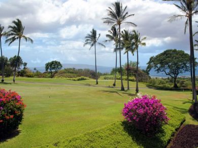 Ocean & golf views