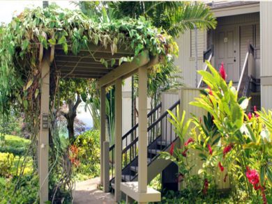 Entrance with tropical foliage