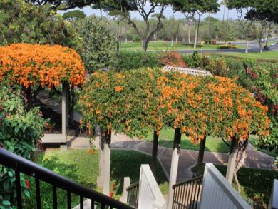 Kihei Two Bedroom For Rent on Maui- 2 Bathrooms
