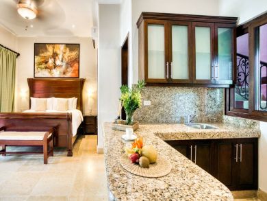 Luxury 8 Bedroom Beach Villa with Full Ocean View Sleeps 20