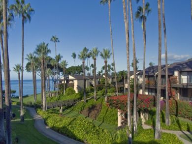 Pathway to the beach