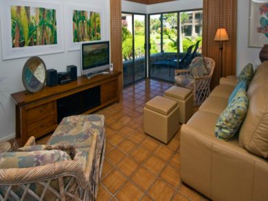 Living room with flat screen, DVD & open to patio