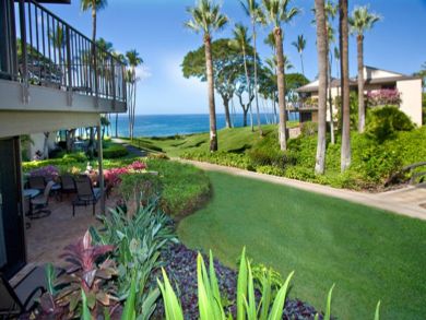 Ocean view