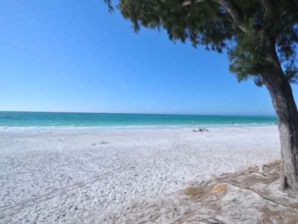 Holmes Beach Vacation Rental Anna Maria Island Condo with Pool